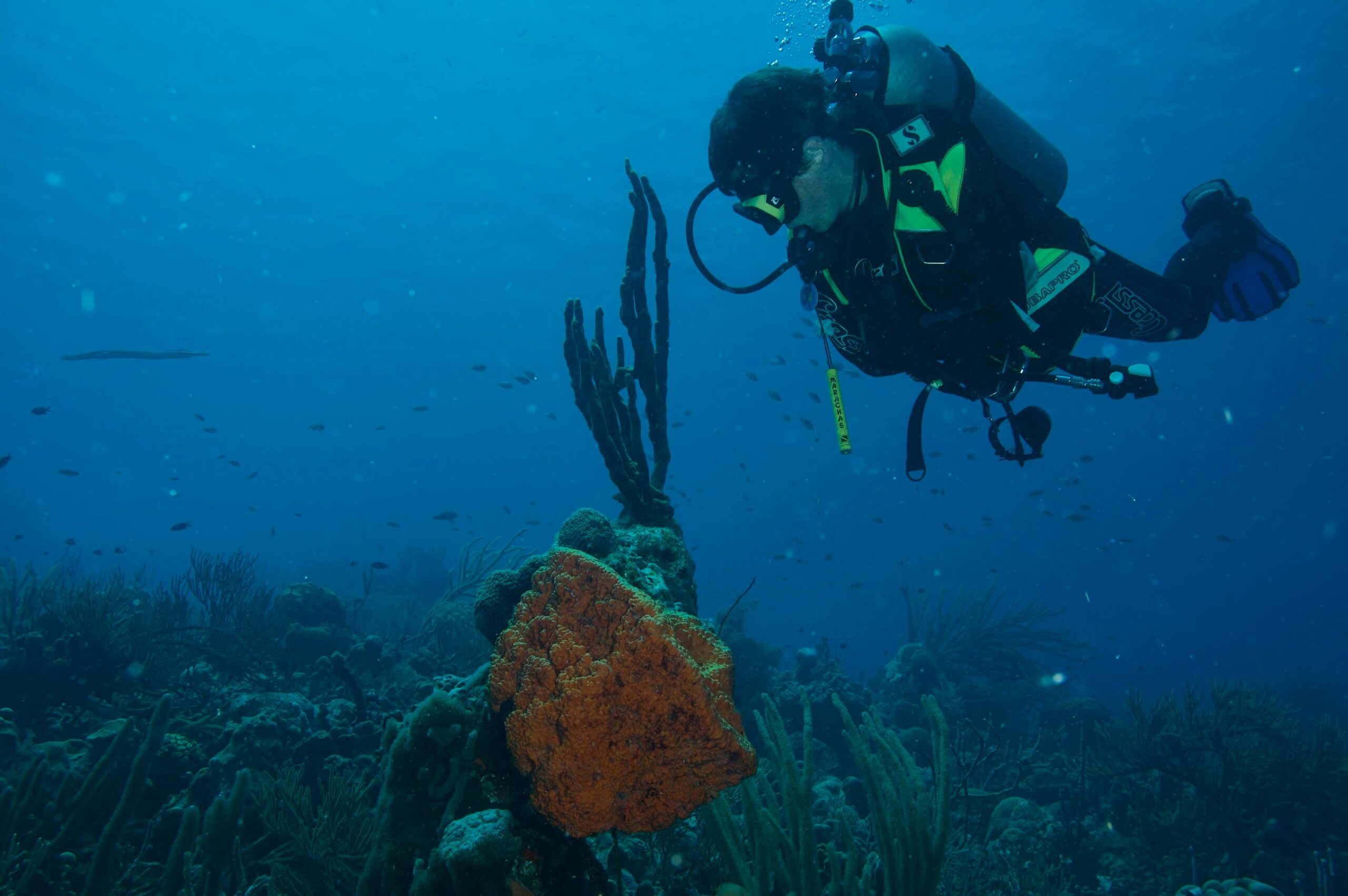 High-Quality Dive Destinations for Ocean Explorers